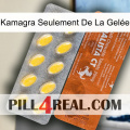 Kamagra Seulement De La Gelée 42